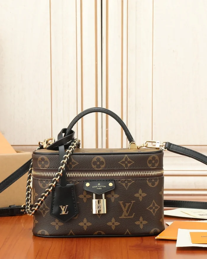 REBCE Louis Vuitton Vanity Chain Pouch handbag