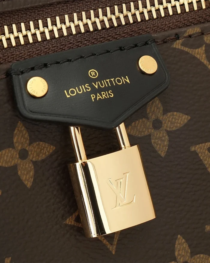 REBCE Louis Vuitton Vanity Chain Pouch handbag