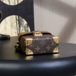 Rebce Louis Vuitton CAMERA BOX handbag
