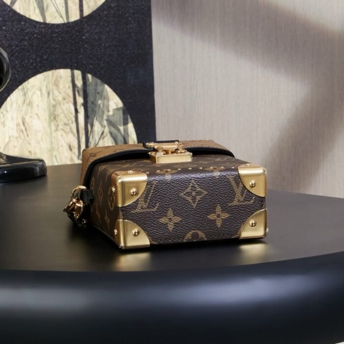 Rebce Louis Vuitton CAMERA BOX handbag