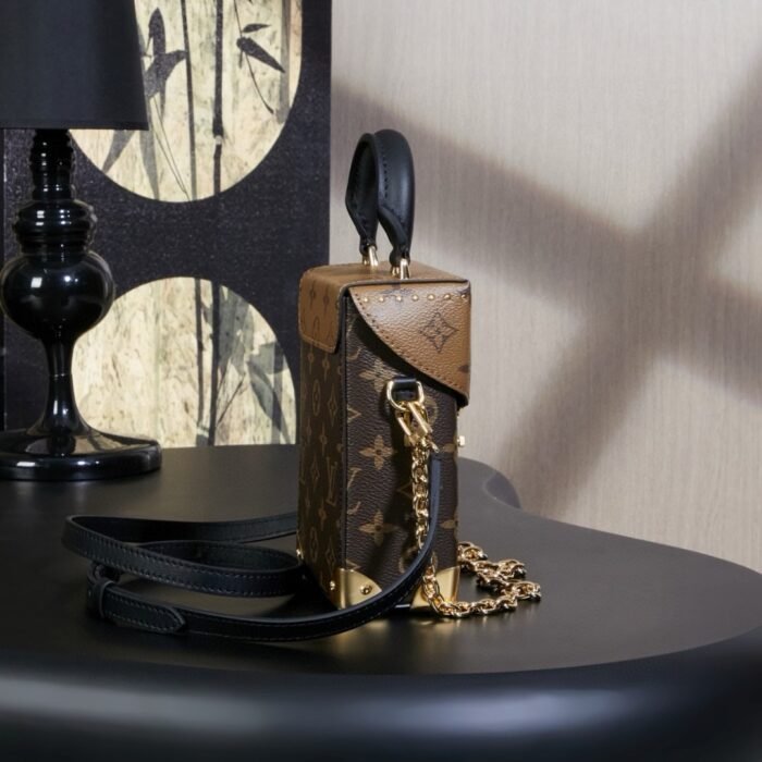 Rebce Louis Vuitton CAMERA BOX handbag