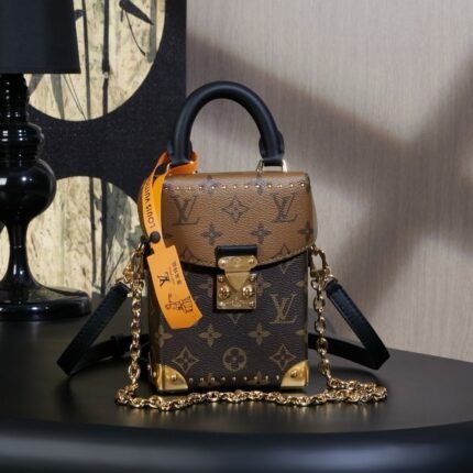 Rebce Louis Vuitton CAMERA BOX handbag