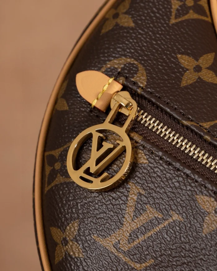 Rebce Louis Vuitton Loop half-moon bag