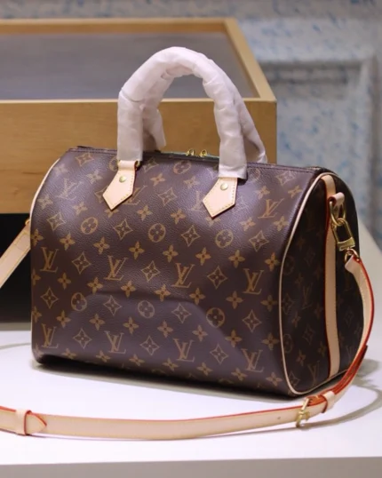 Rebce Louis Vuitton SPEEDY 25 Handbag