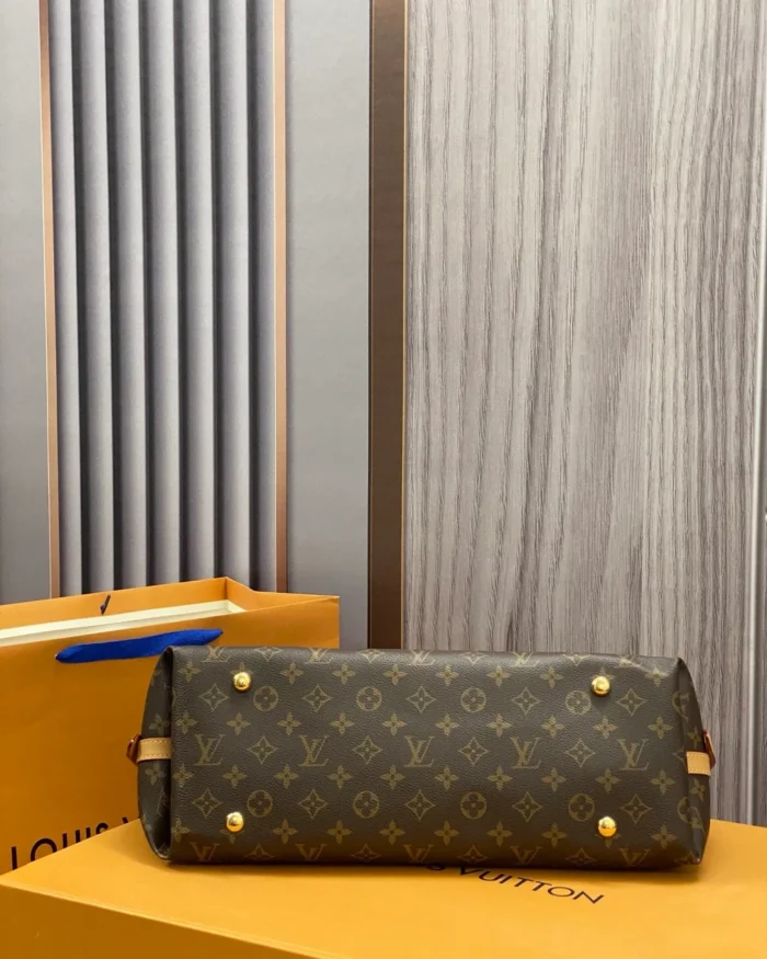 Rebce Louis Vuitton CarryAll MM