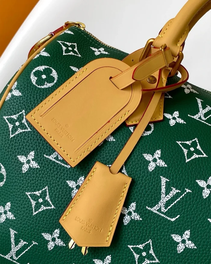 REBCE Louis Vuitton Speedy P9 Bandoulière 30