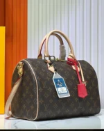 REBCE Louis Vuitton Speedy Soft 30 Crafty