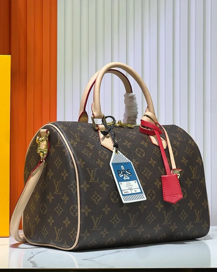 REBCE Louis Vuitton Speedy Soft 30 Crafty