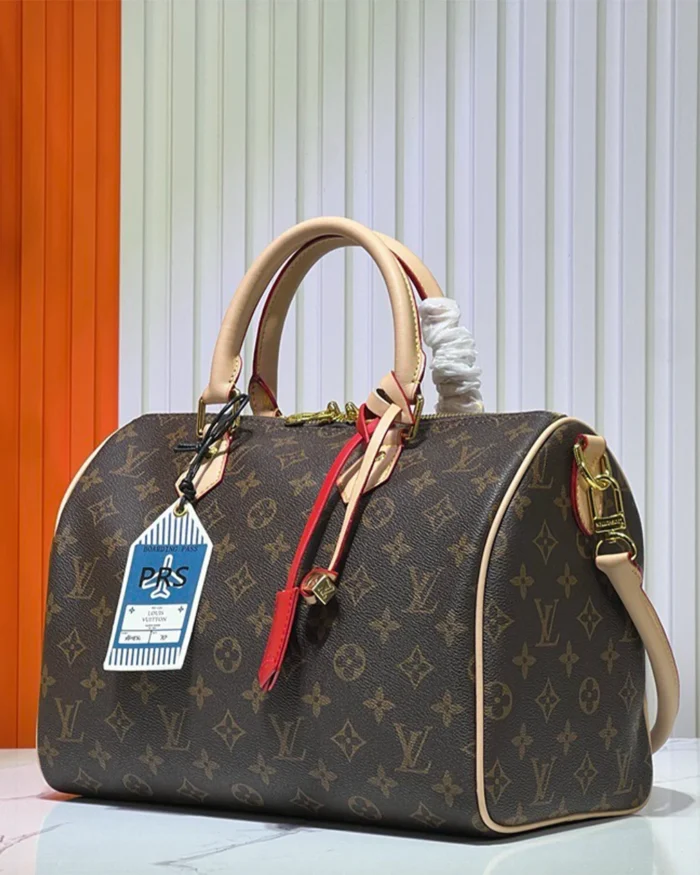 REBCE Louis Vuitton Speedy Soft 30 Crafty