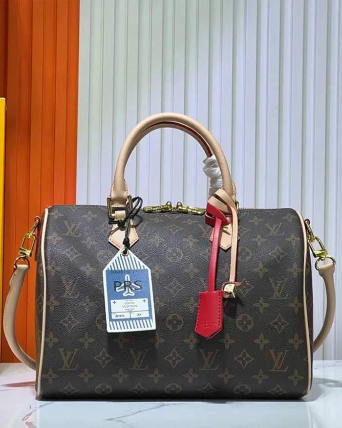REBCE Louis Vuitton Speedy Soft 30 Crafty
