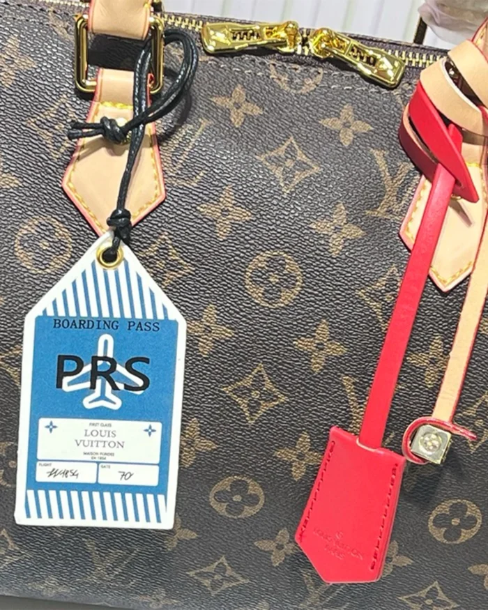 REBCE Louis Vuitton Speedy Soft 30 Crafty