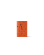 REBCE Louis Vuitton Passport Cover